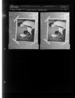 Jaycee award-re-photographed (2 Negatives (July 17, 1959) [Sleeve 36, Folder c, Box 18]